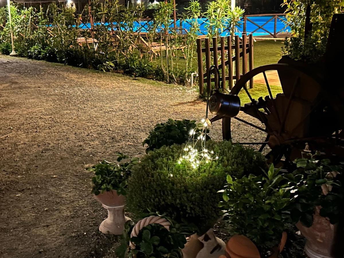 الشقق الفندقية تشيزينافي  Fattoria Palazzeta - Pet & Family Friendly المظهر الخارجي الصورة