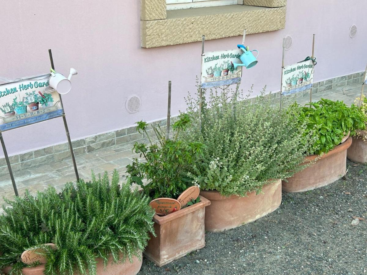 الشقق الفندقية تشيزينافي  Fattoria Palazzeta - Pet & Family Friendly المظهر الخارجي الصورة